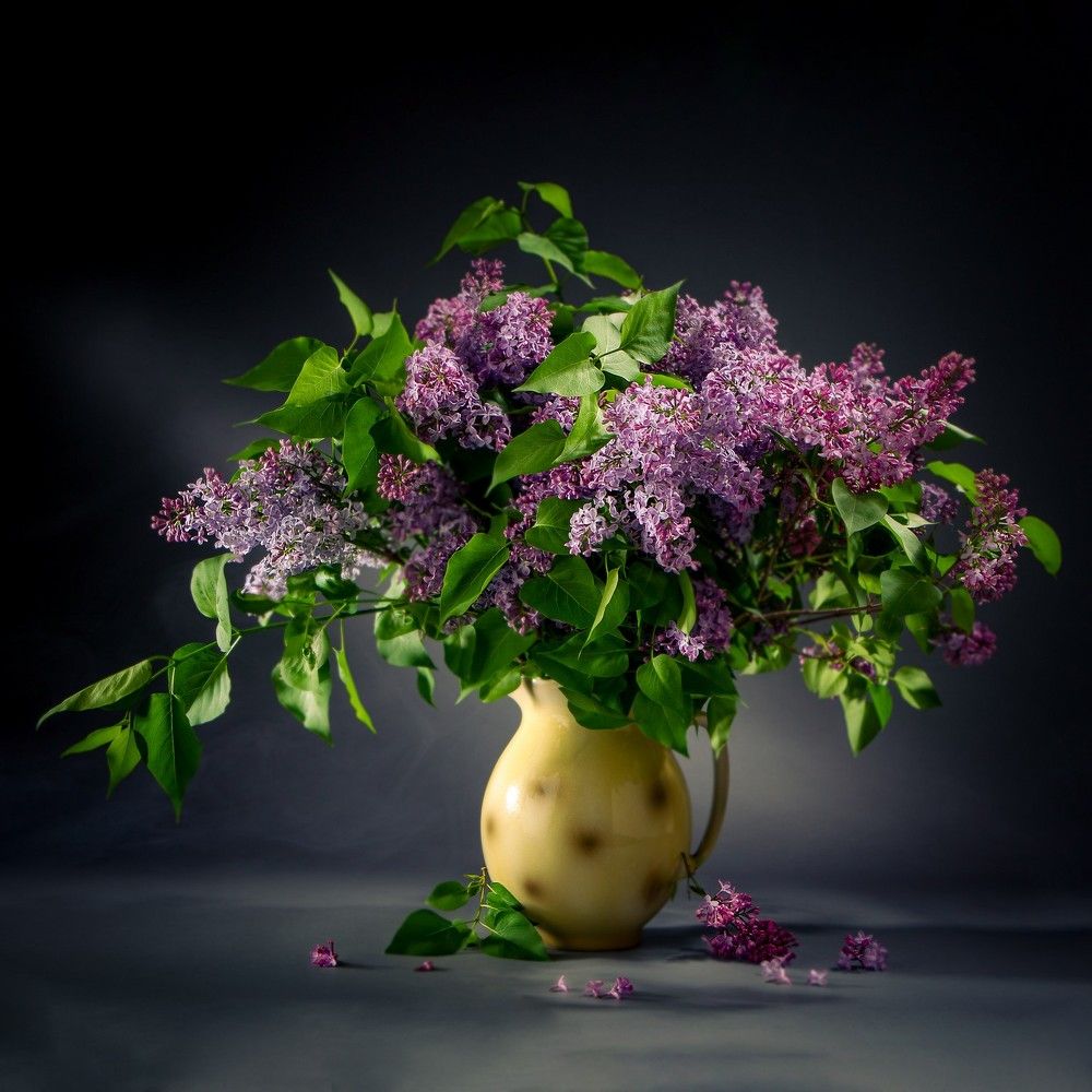 Photograph by Alex Lee