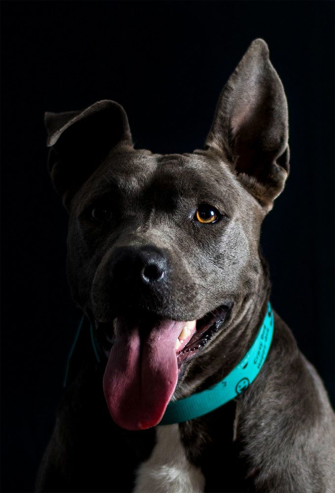 Photograph by George Sorin