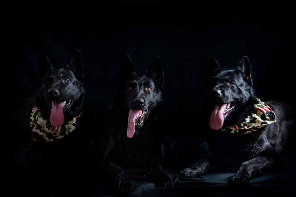 Photograph by George Sorin