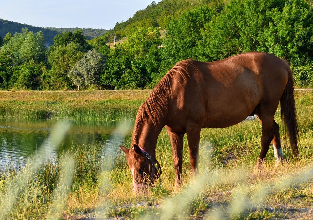 Photograph by Екатерина Гордеева