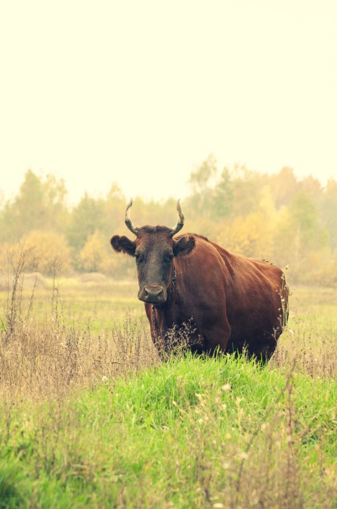 Photograph by Анастасия