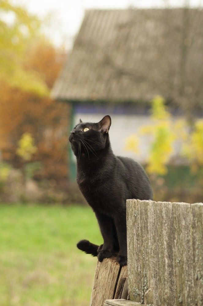 Photograph by Анастасия