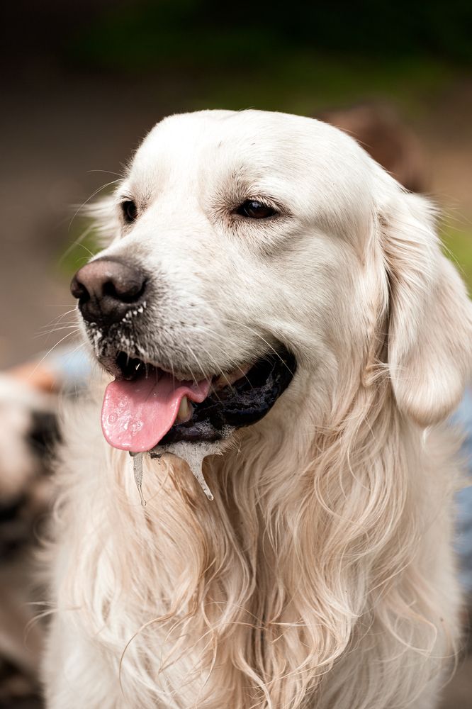 Photograph by Оксана Корчагина