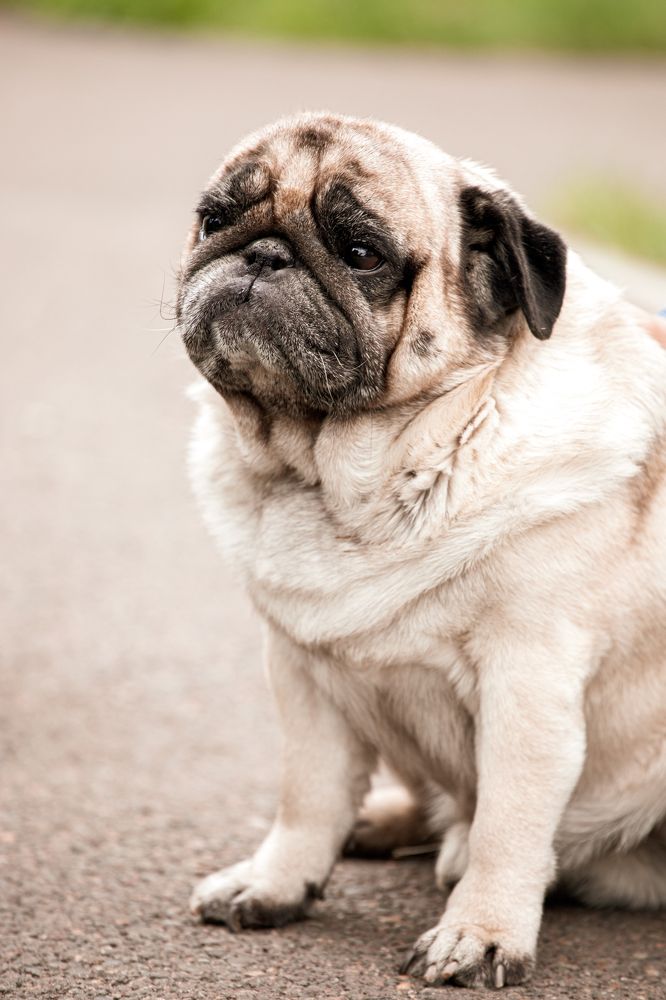 Photograph by Оксана Корчагина