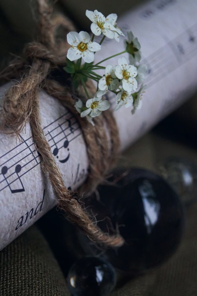 Фотография автора Марина Алексеевская