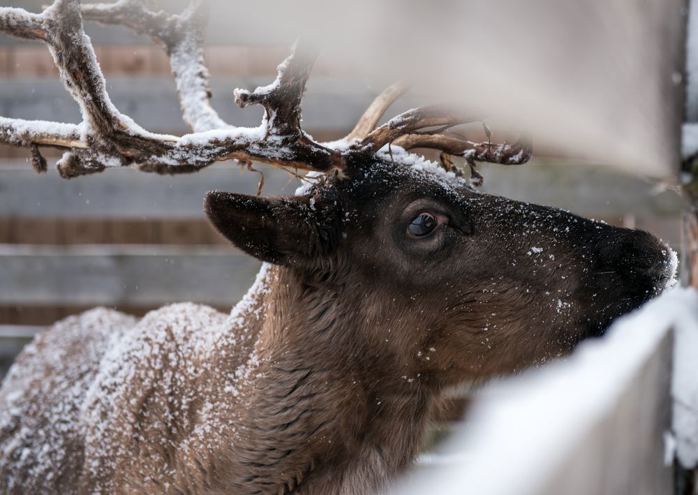 Photograph by Евгений Моляшов