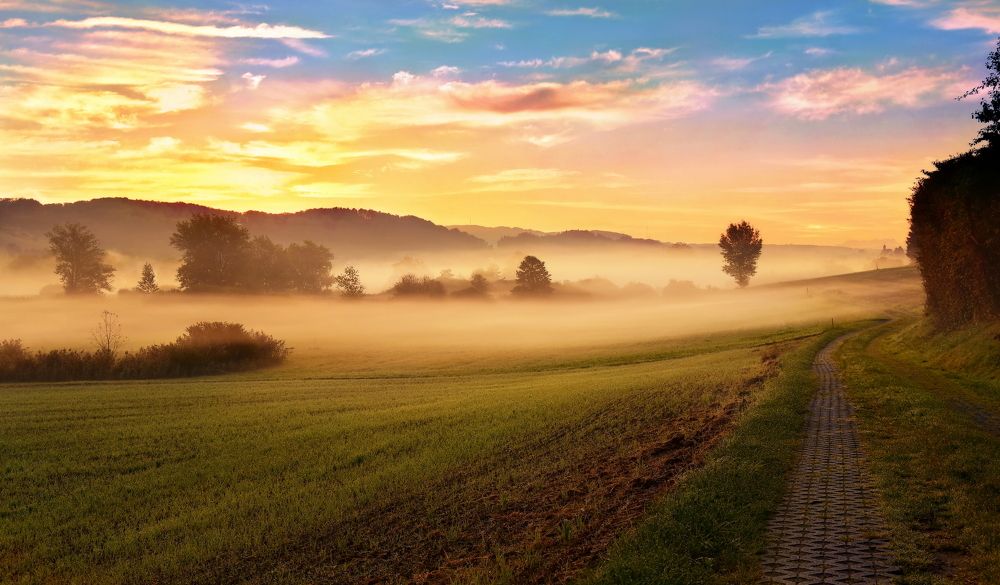 Photograph by Elena Wymann