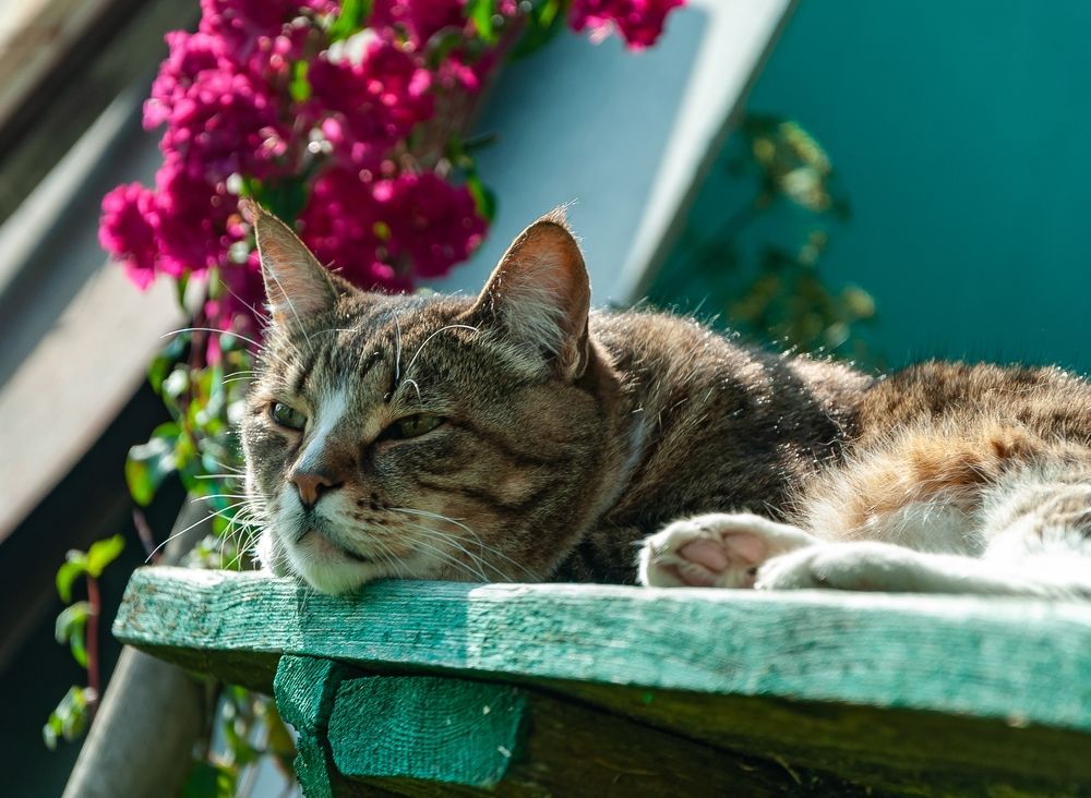 Куда уходит лето...