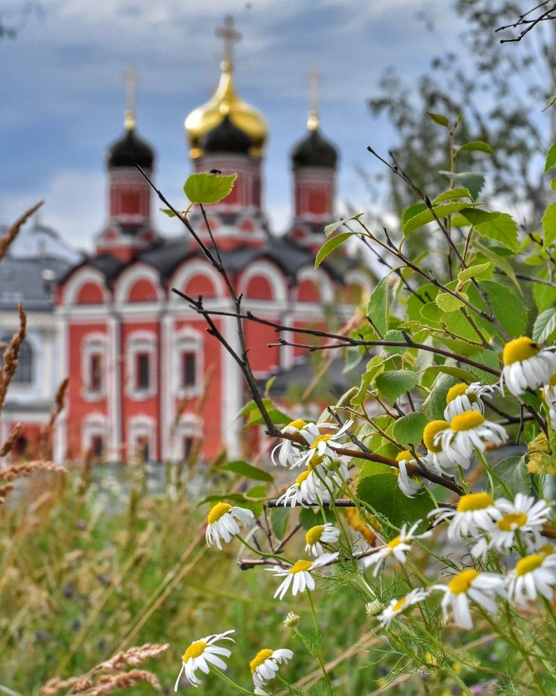 Photograph by Ксения Прохорова