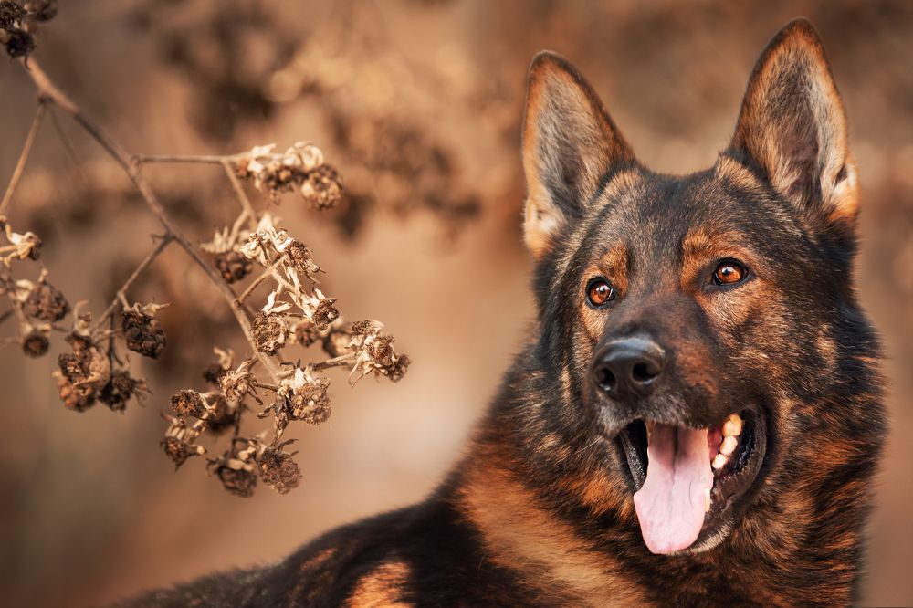 Photograph by Hall Stefanie