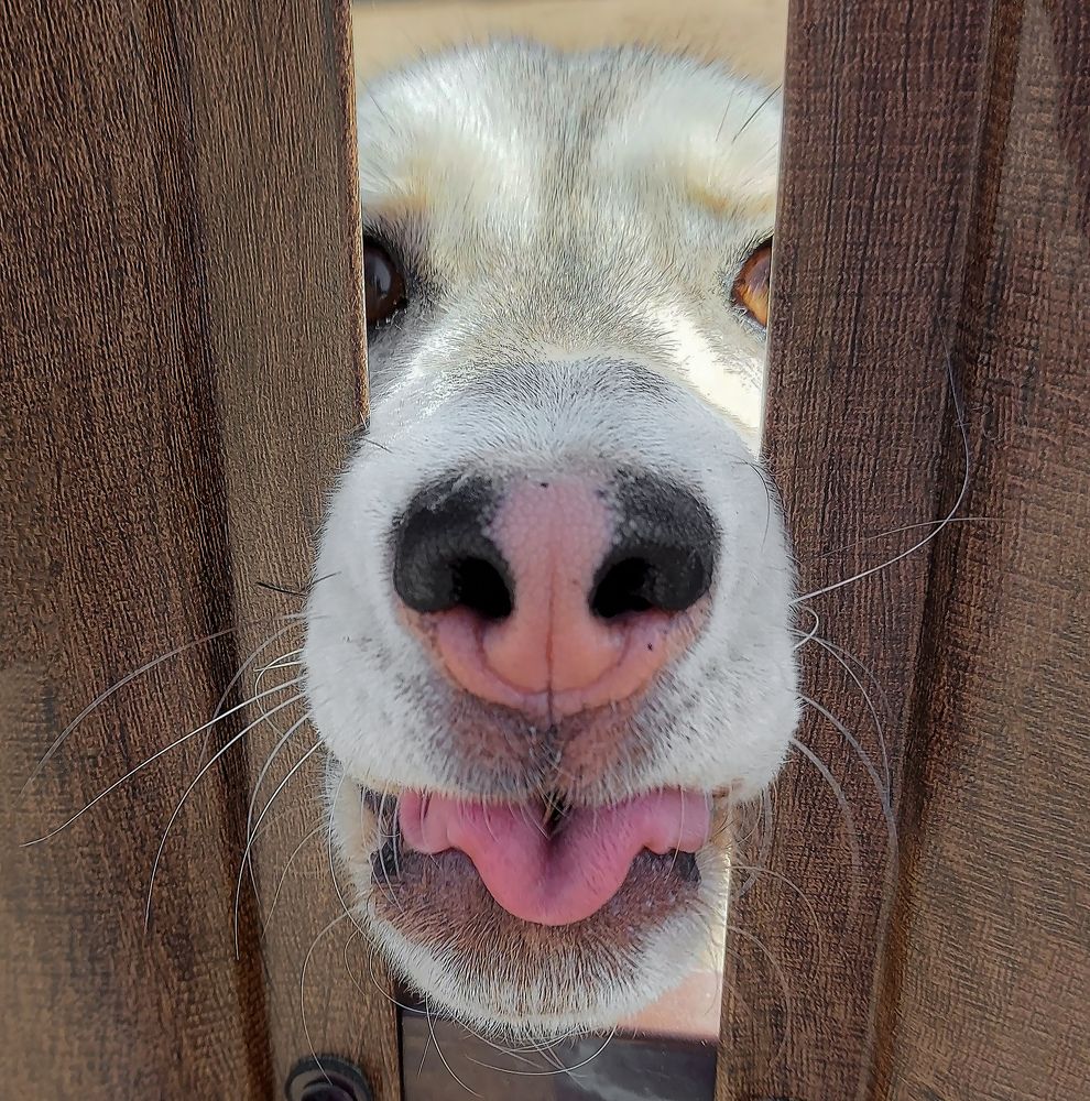 Погулять бы