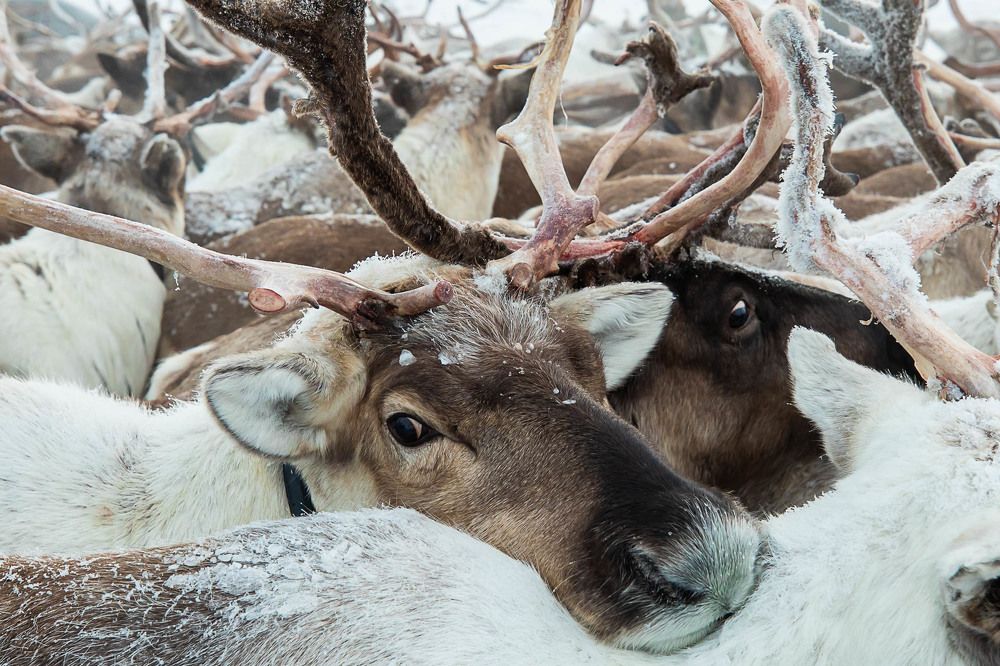 Photograph by Марина Маликова