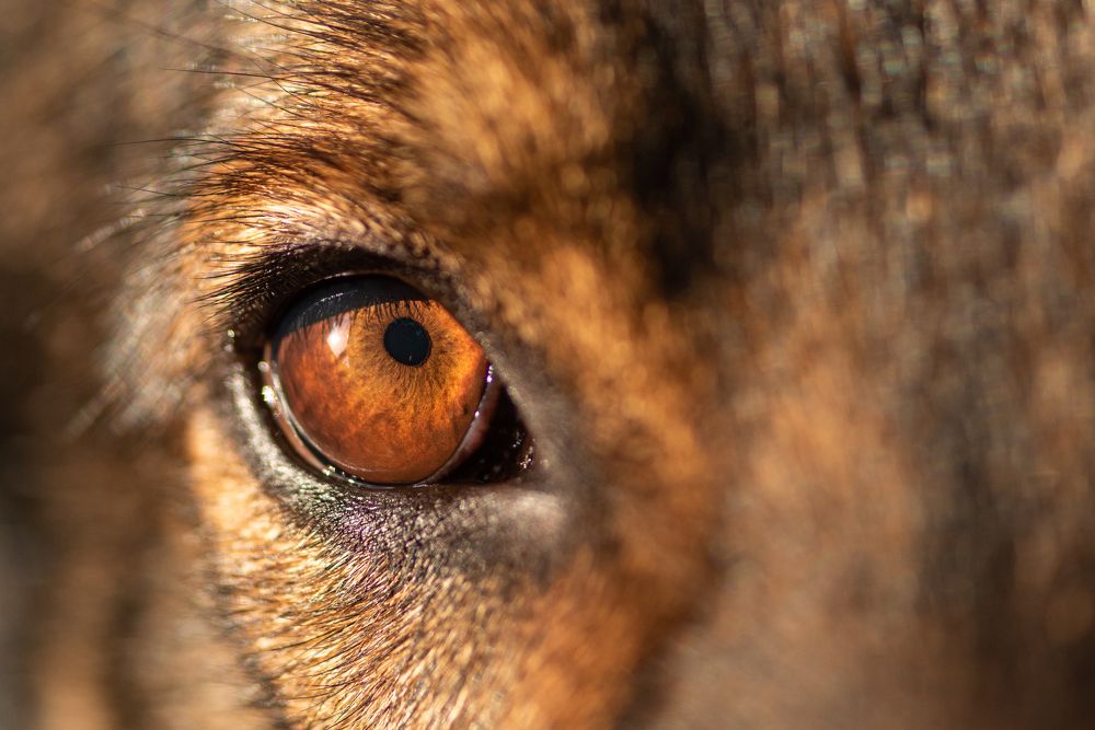 Photograph by Hall Stefanie