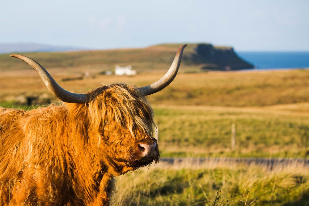 Photograph by Марина Маликова