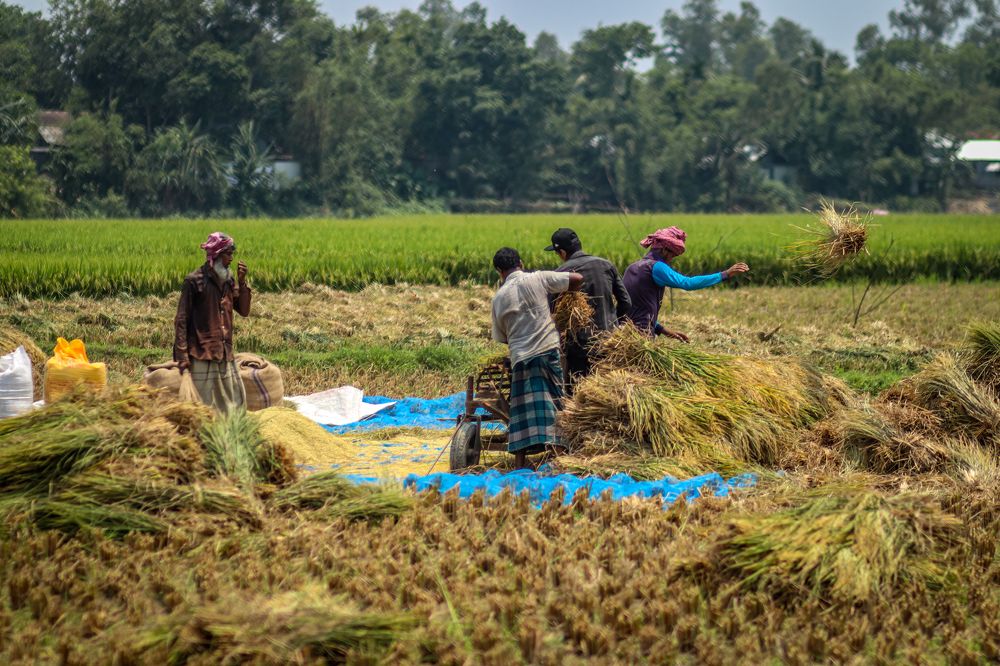 Photograph by Sumon Ghosh
