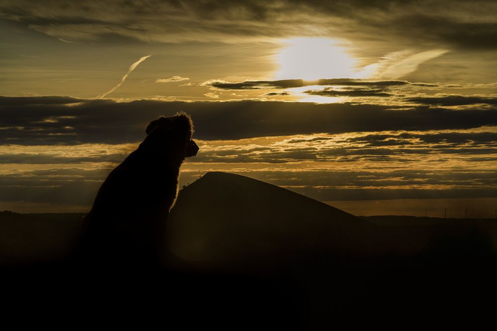 Photograph by Jacqueline Ruediger