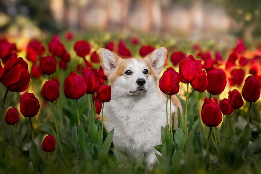 Photograph by Katerina Kutova