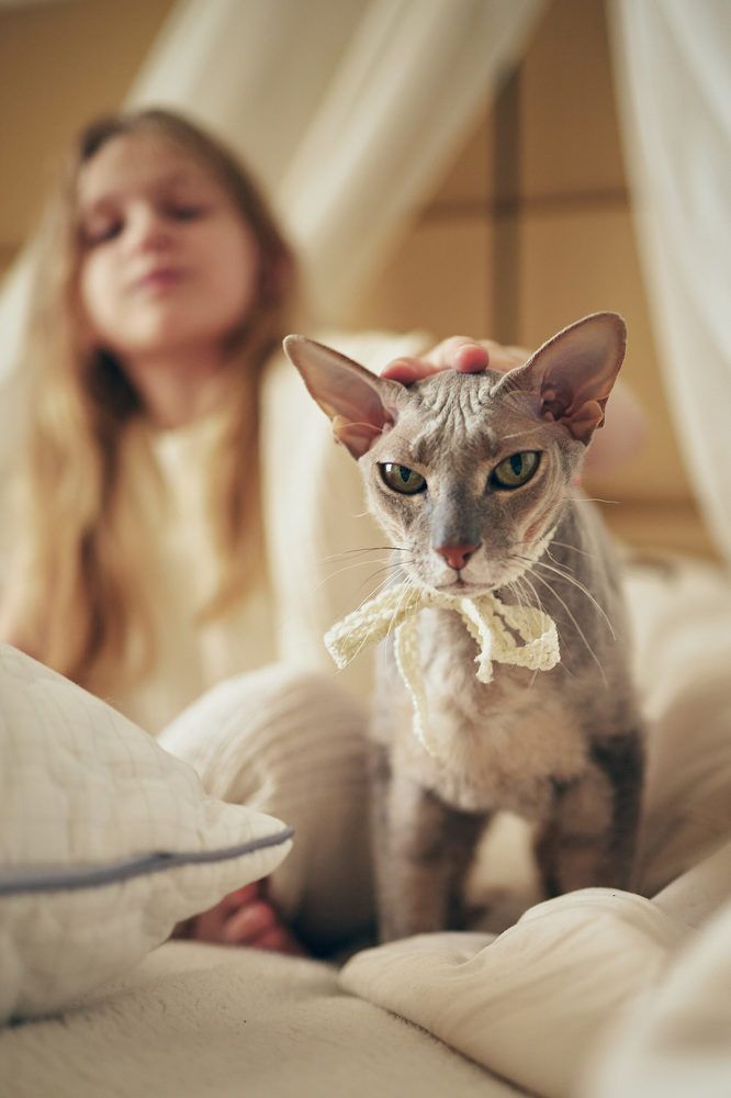 Photograph by Анна Финк