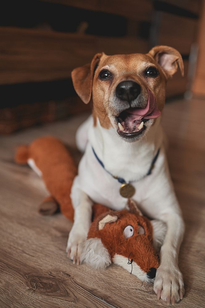 Photograph by Анна Финк