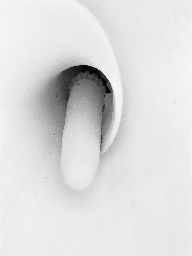 Photograph by Ritu Dinkar