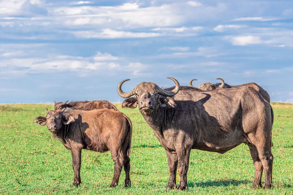 Photograph by Harsh Vyas