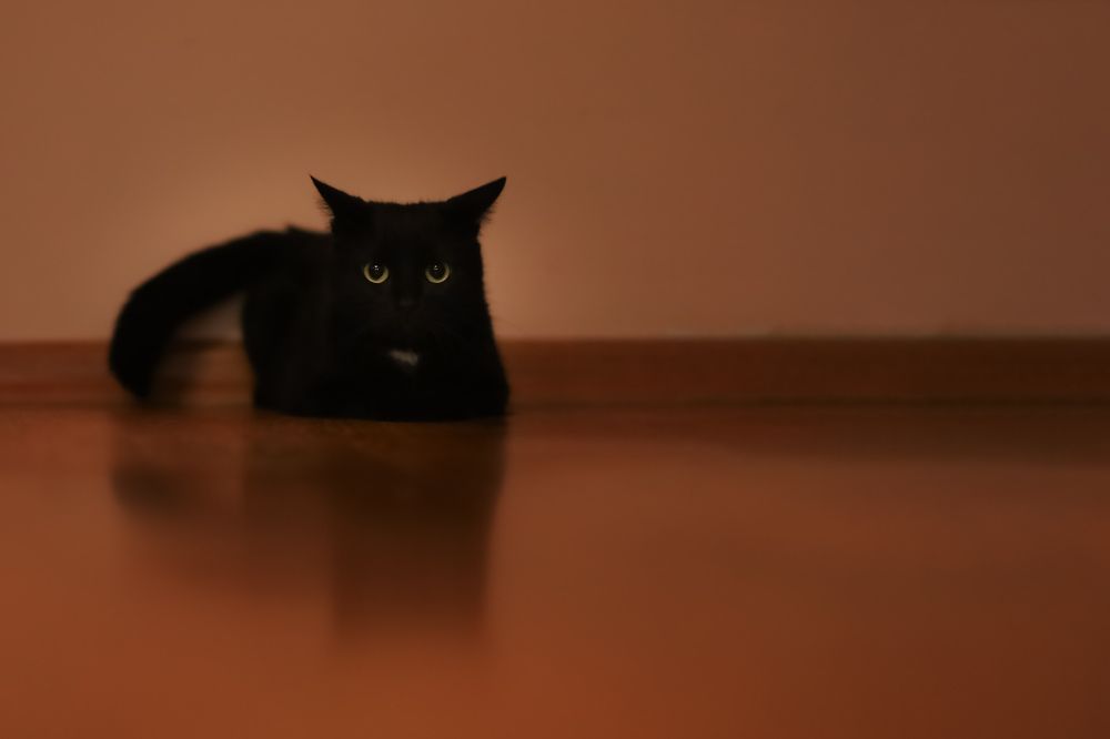 Photograph by Людмила Колесниченко