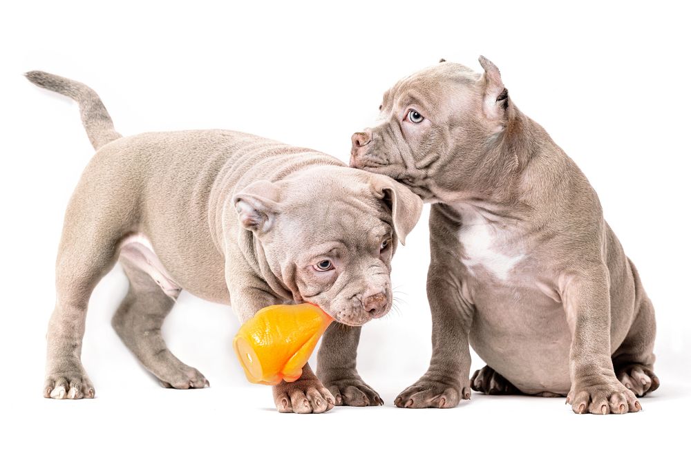 Photograph by Екатерина Коломеец