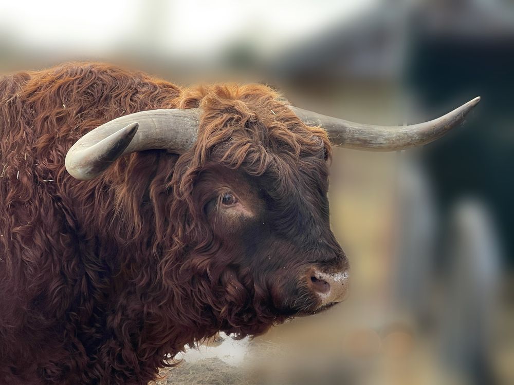 Photograph by Lila Sabbaghian Rad