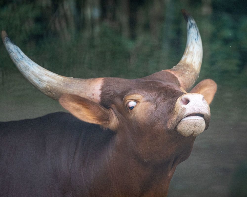 Photograph by Aysia Linggarwati