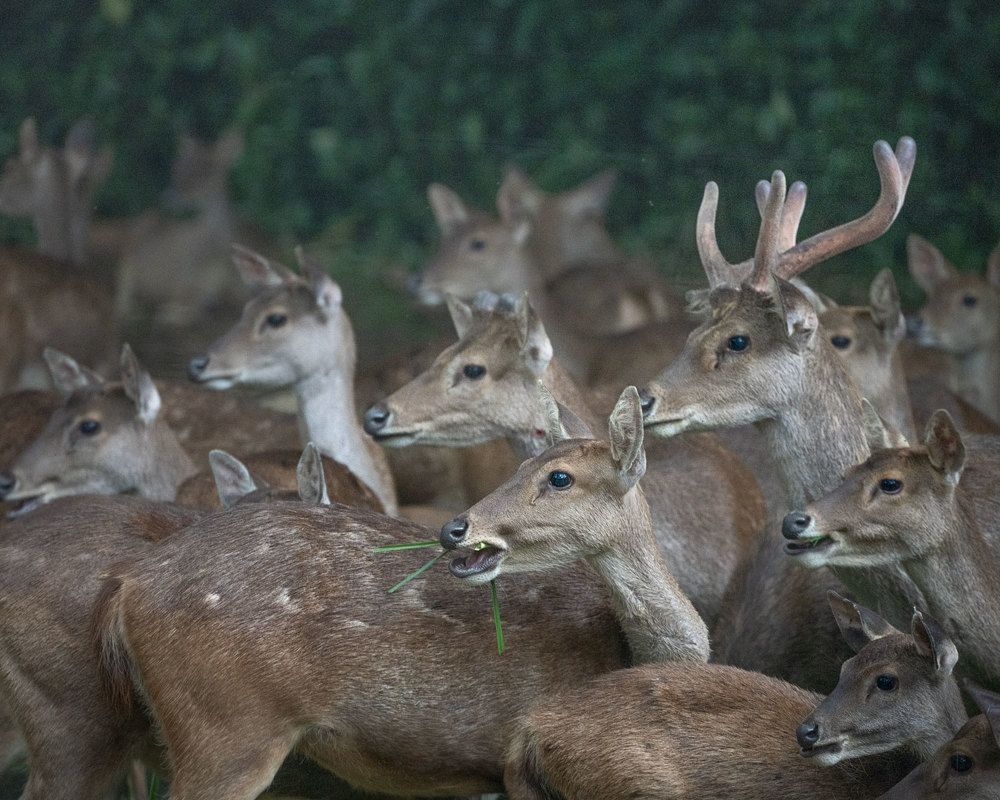 Photograph by Aysia Linggarwati