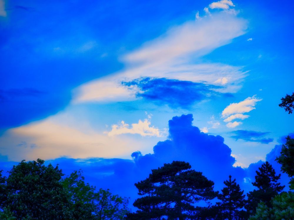 Photograph by Sandor Zoltan Gal