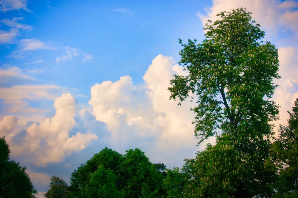 Photograph by Sandor Zoltan Gal