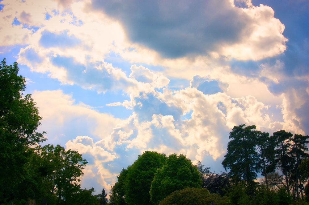 Photograph by Sandor Zoltan Gal