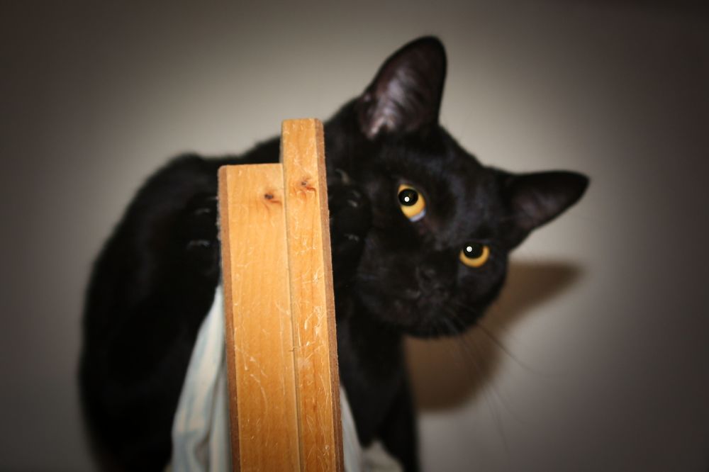 Photograph by Sandor Zoltan Gal