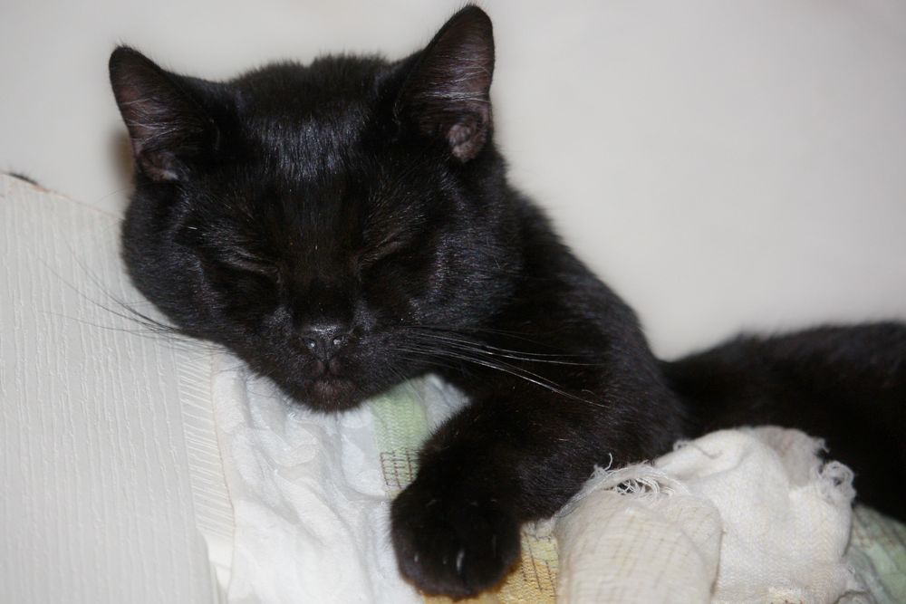 Photograph by Sandor Zoltan Gal