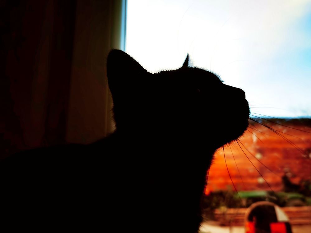 Photograph by Sandor Zoltan Gal