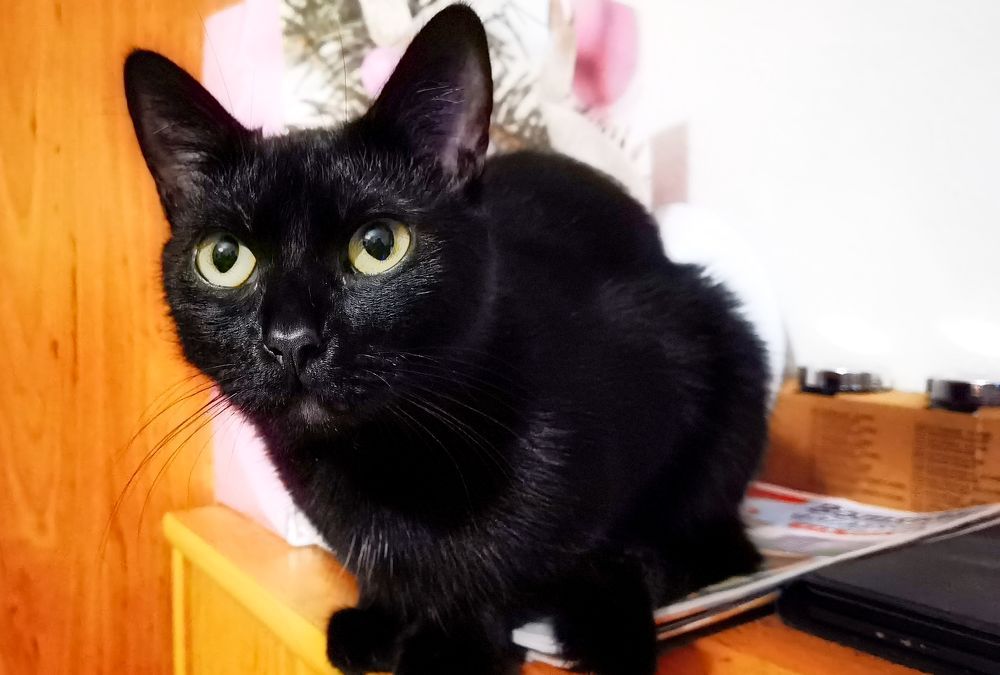 Photograph by Sandor Zoltan Gal