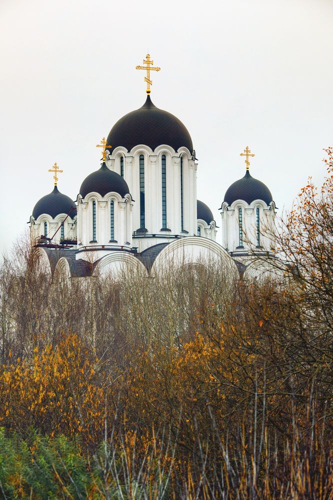 Храм иконы Божией Матери Всех скорбящих Радость