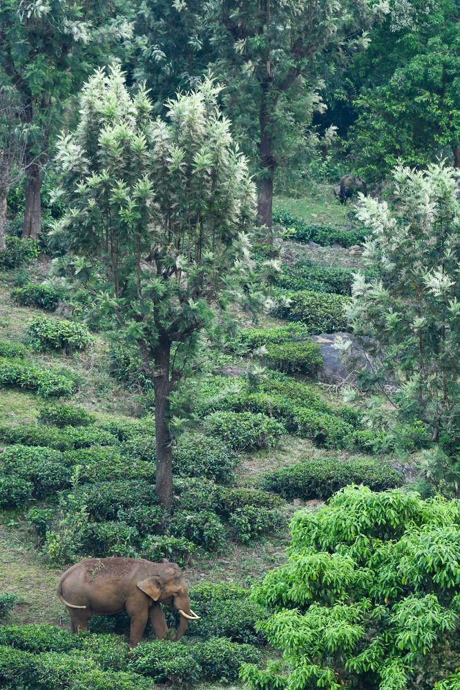 Photograph by Prince Pravin