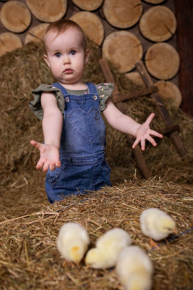 Photograph by Елена Максимова