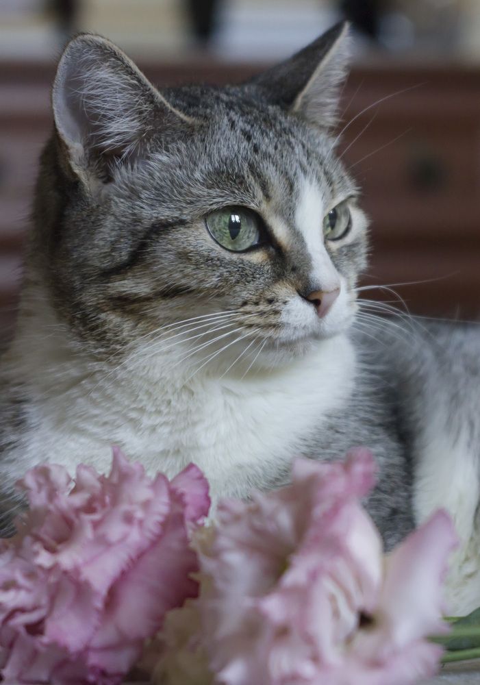 Photograph by Anna Gapanovich