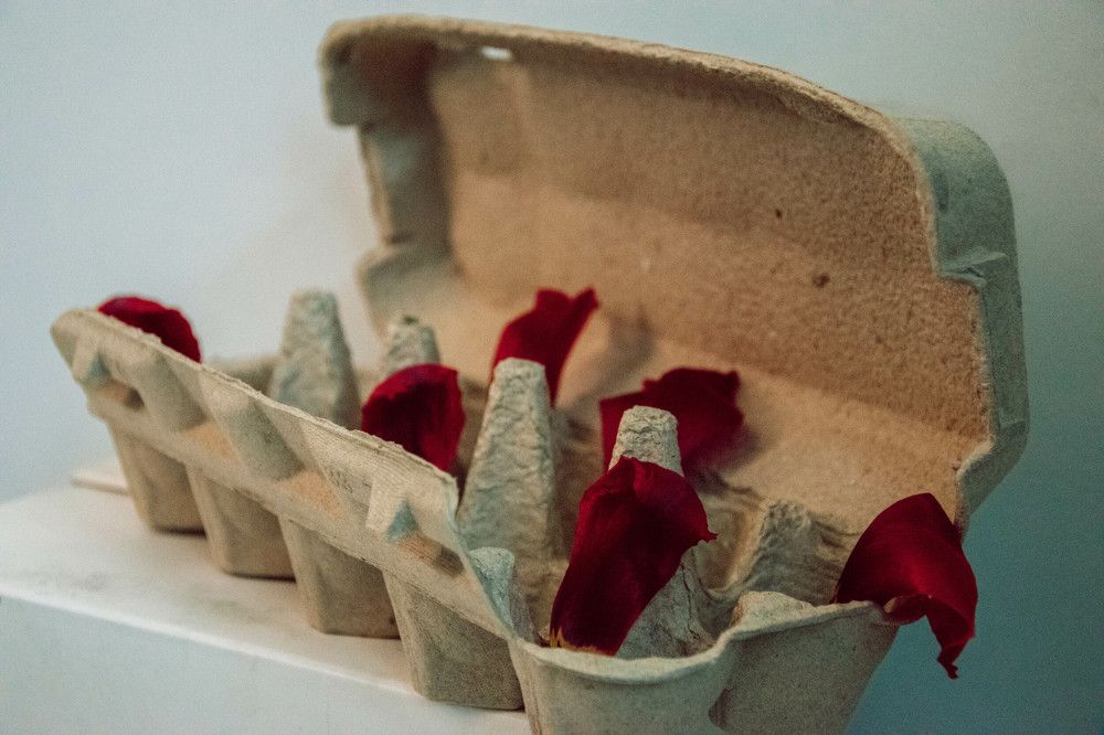 Photograph by Nora Cheprasova