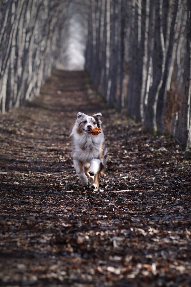Photograph by Виктория Марьинских