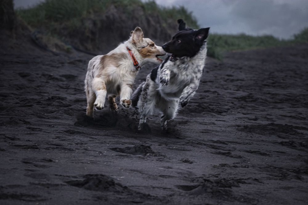 Photograph by Виктория Марьинских