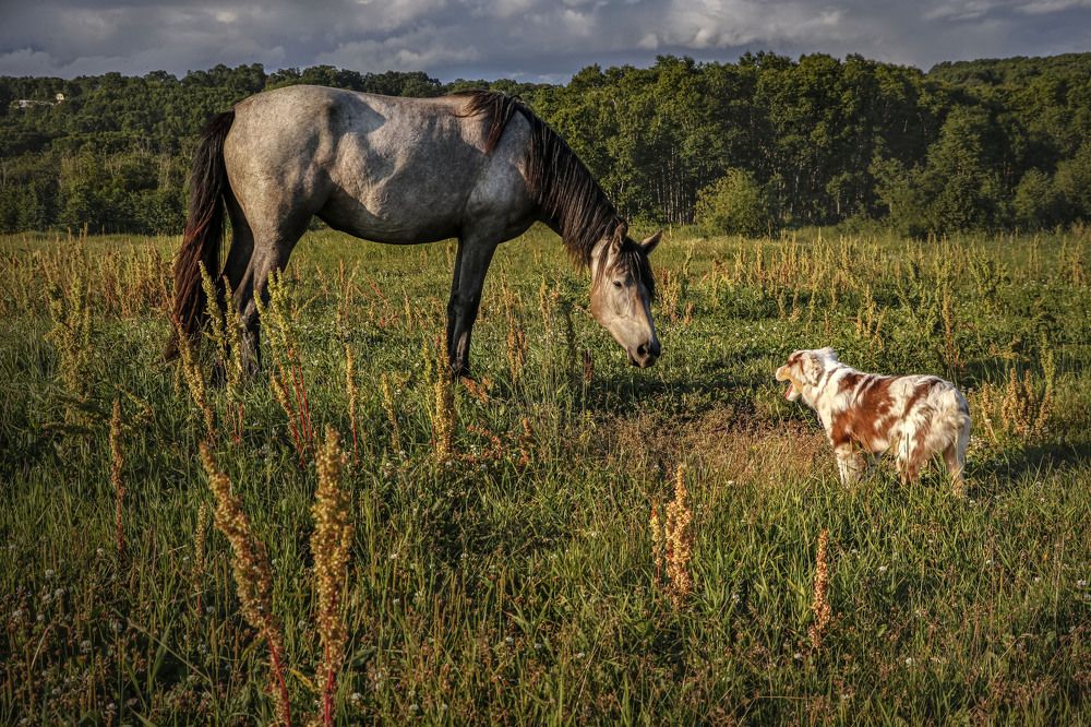 Photograph by Виктория Марьинских