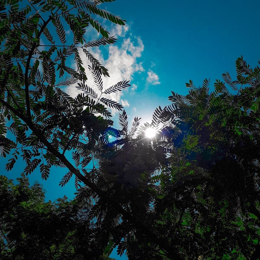 Photograph by Sardar Vaibhavraj Ramkar