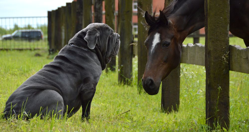 Photograph by наталья залогина