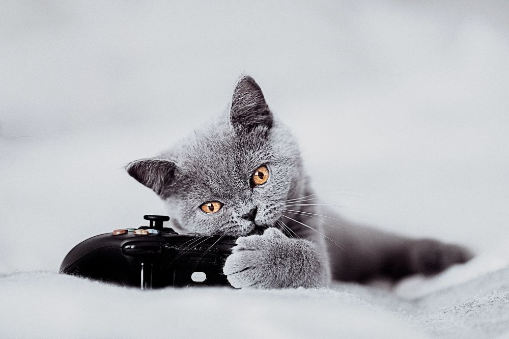 Photograph by Monika Fiba