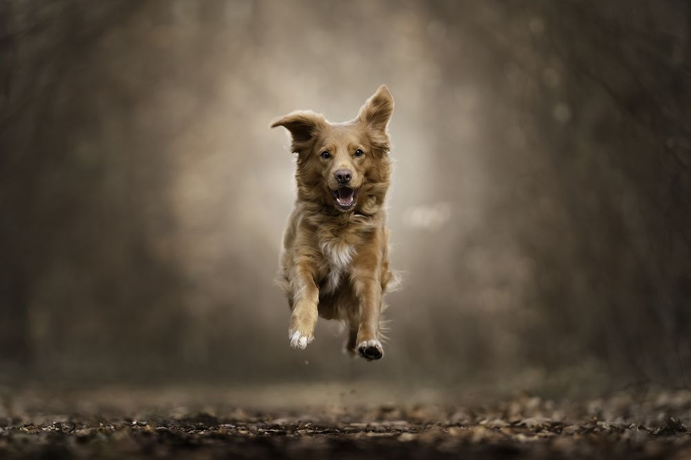 Photograph by Jacqueline Ruediger