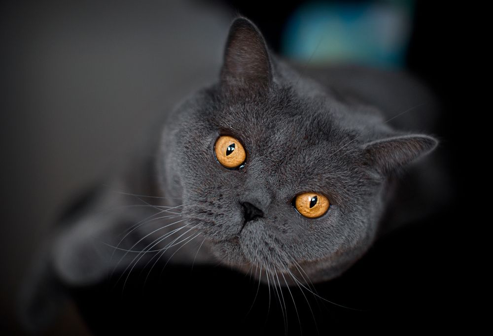 Photograph by Monika Fiba